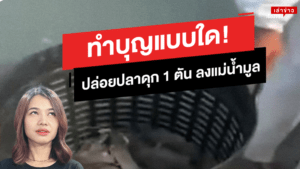 ปล่อยปลาดุกนับตัน